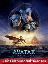 Avatar: The Way of Water (2022) HDRip Original [Telugu + Tamil + Hindi + Malayalam + Kannada + Eng] Dubbed Movie Watch Online Free