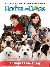 Hotel for Dogs (2009) BRRip Original [Telugu + Tamil + Eng] Dubbed Movie Watch Online Free