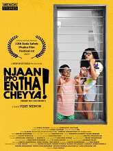 Njaan Ippo Entha Cheyya (2023) HDRip Malayalam Full Movie Watch Online Free
