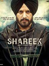 Shareek (2015) DVDScr Punjabi Full Movie Watch Online Free