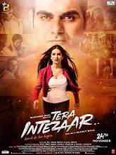 Tera Intezaar (2017) HDTVRip Hindi Full Movie Watch Online Free