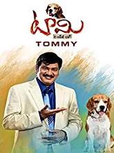 Tommy (2015) HDRip Telugu Full Movie Watch Online Free